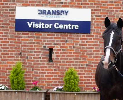 Bransby Horses